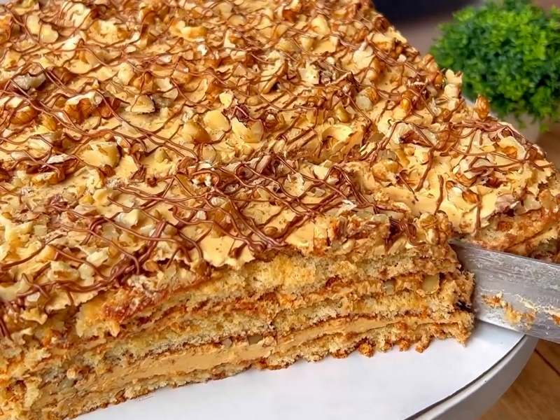 Торт Черепаха – рецепт со сметаной и варёной сгущёнкой. Любимый домашний бисквитный торт